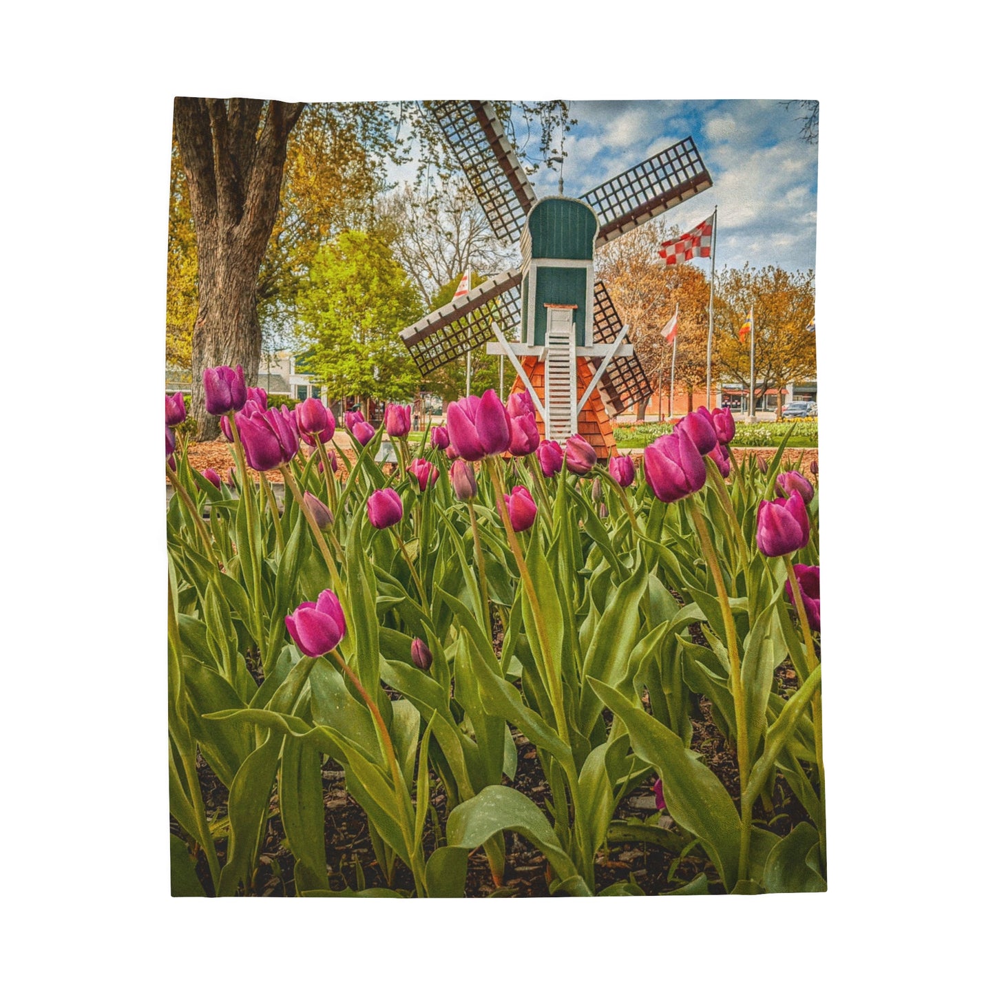 Windmill Tulips Velveteen Plush Blanket (SP Photography Collection)