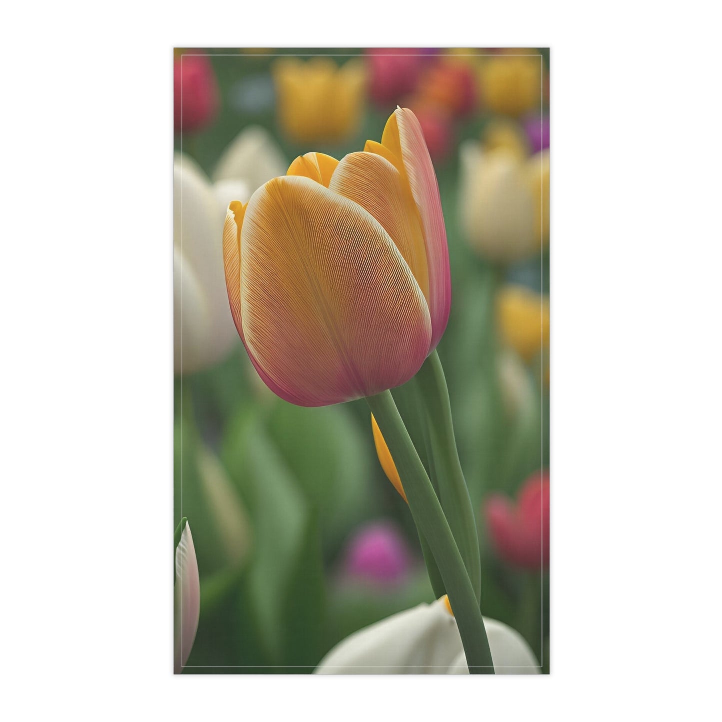 Orange Tulip Kitchen Towel (SP Photography Collection)