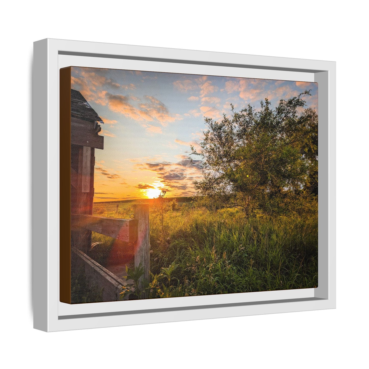 Fence Matte Canvas, Framed (Multi-color) (SP Photography Collection)