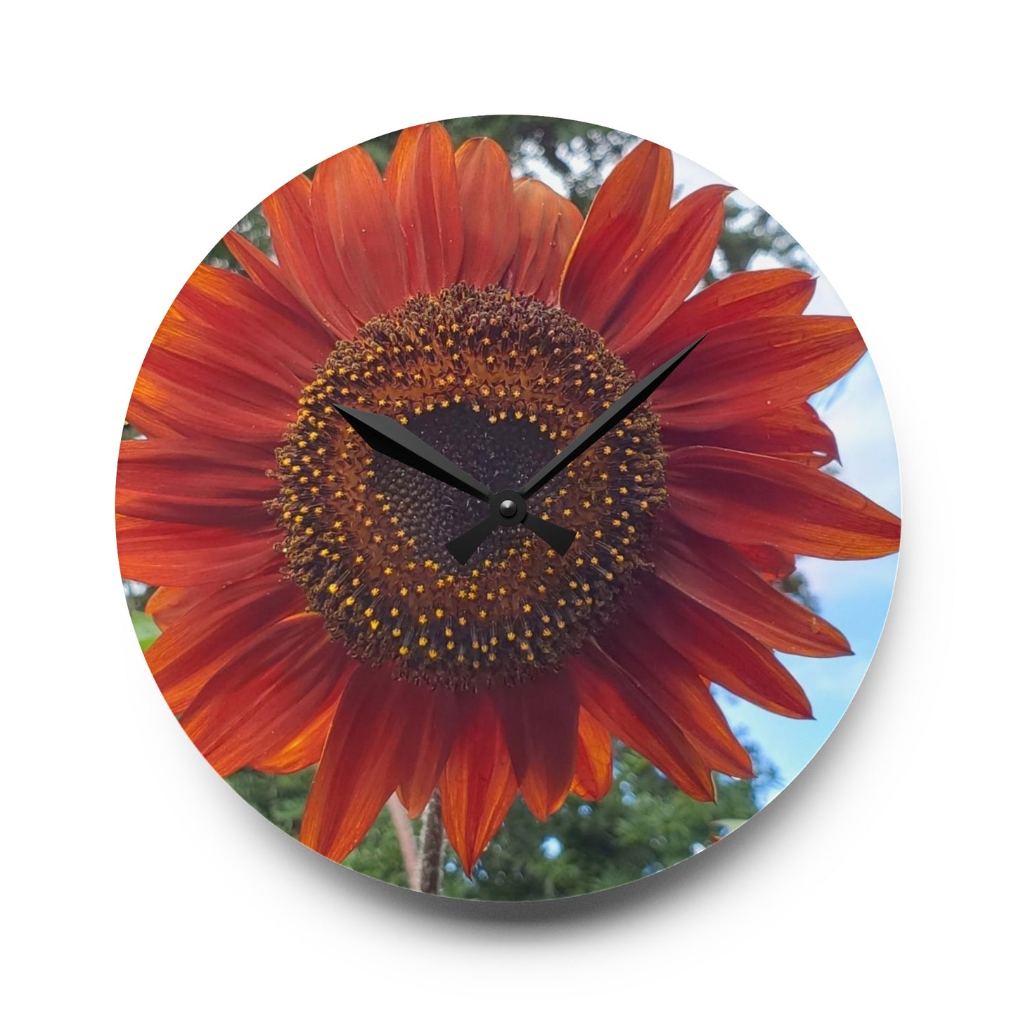 Heart Sunflower Acrylic Wall Clock (Enchanted Exposures By Tammy Lyne Collection)