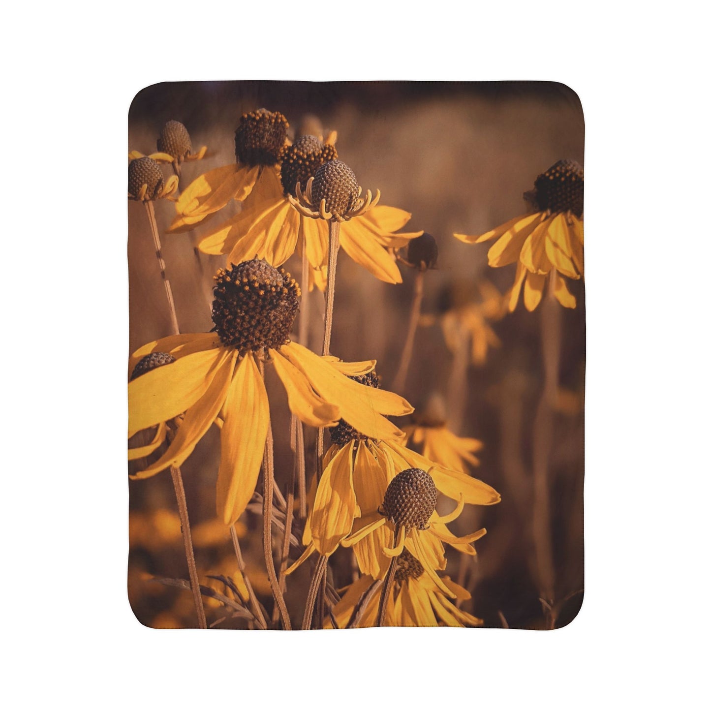 Coneflower Fleece Sherpa Blanket (SP Photography Collection)