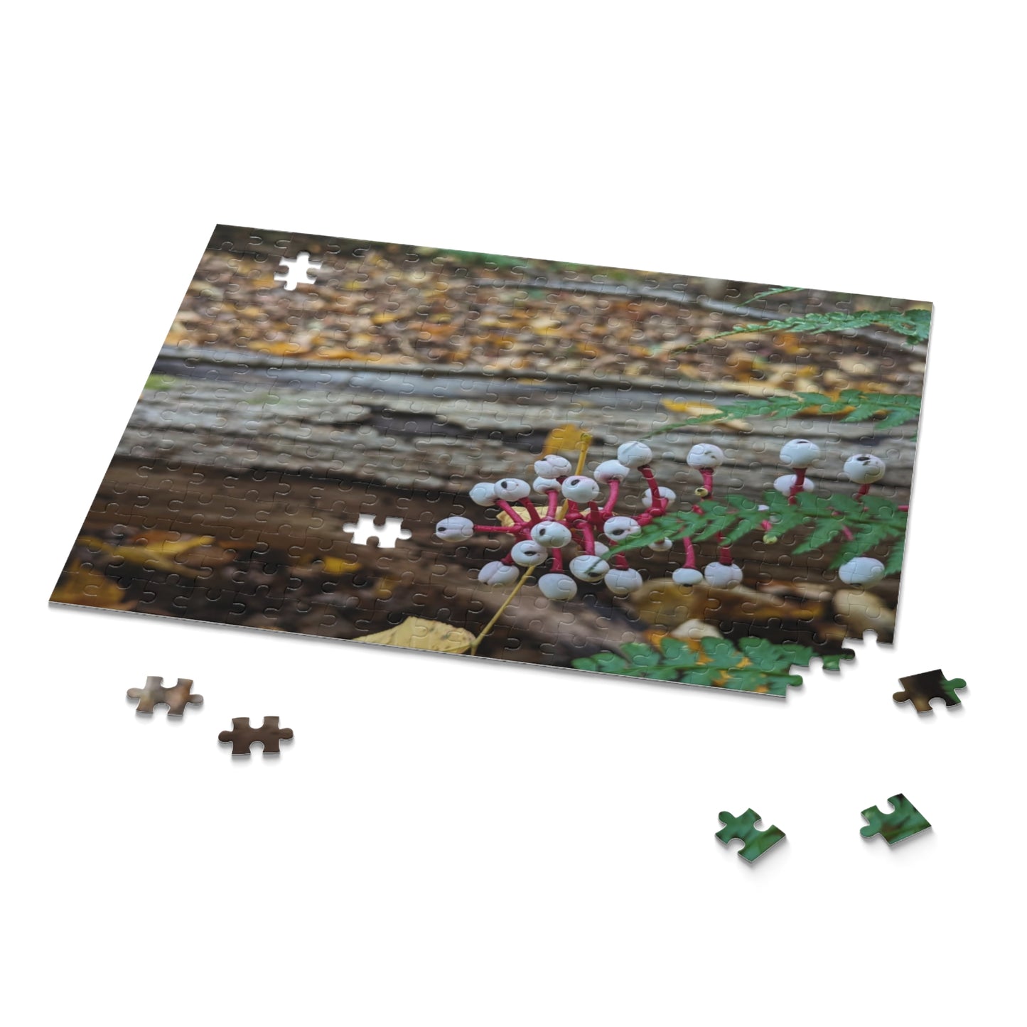 Baneberry Puzzle (Savor The Moment Collection 120, 252, 500-Piece)