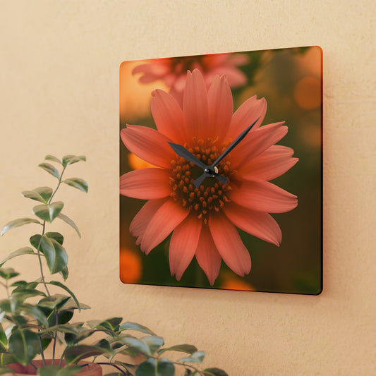 Peach Daisy Wall Clock (SP Photography Collection)