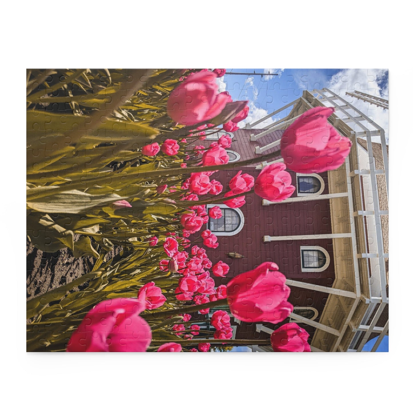 Windmill Pink Tulips Puzzle (SP Photography Collection) (120, 252, 500-Piece)