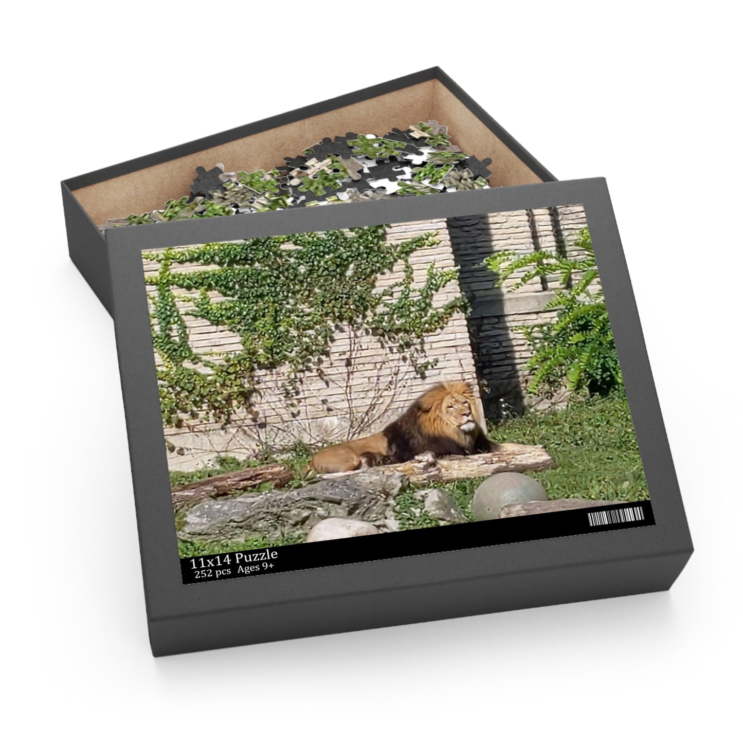 Lion Puzzle (B & J Collections) (120, 252, 500-Piece)