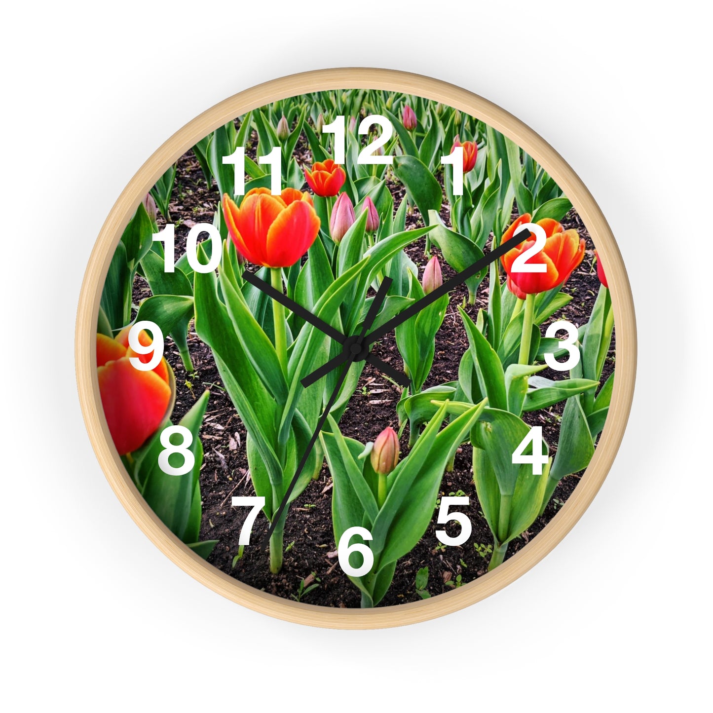 Red Tulips Wall Clock (SP Photography Collection)