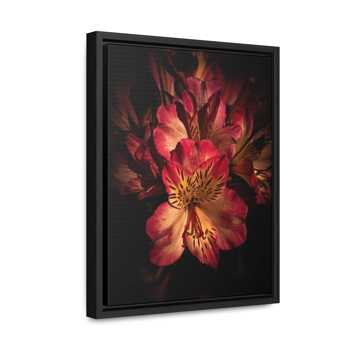 Pink Lily Canvas Wraps, Vertical Frame (SP Photography Collection)