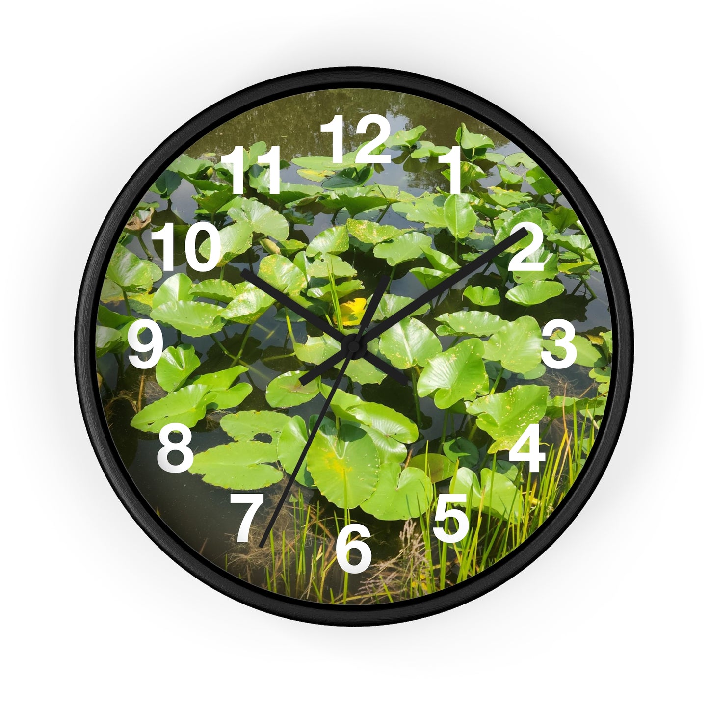 Lily Pad Wall Clock (B & J Collections)