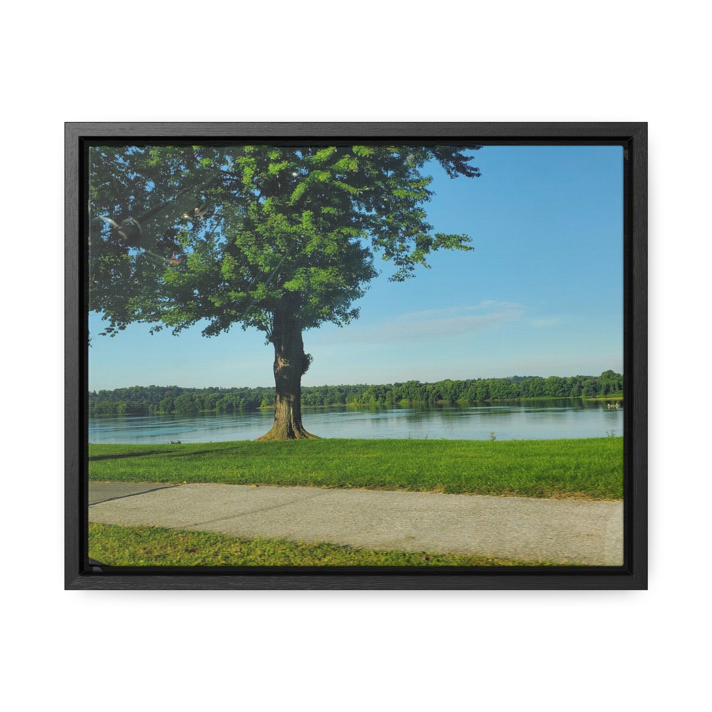 Tree Canvas Wraps, Horizontal Frame (B & J Collections)