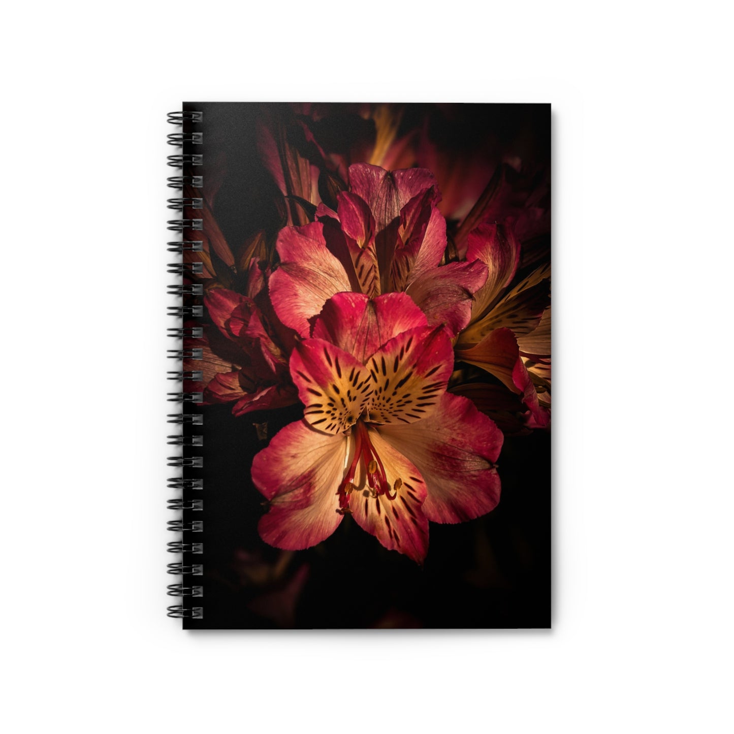 Pink Lily Notebook (SP Photography Collection)