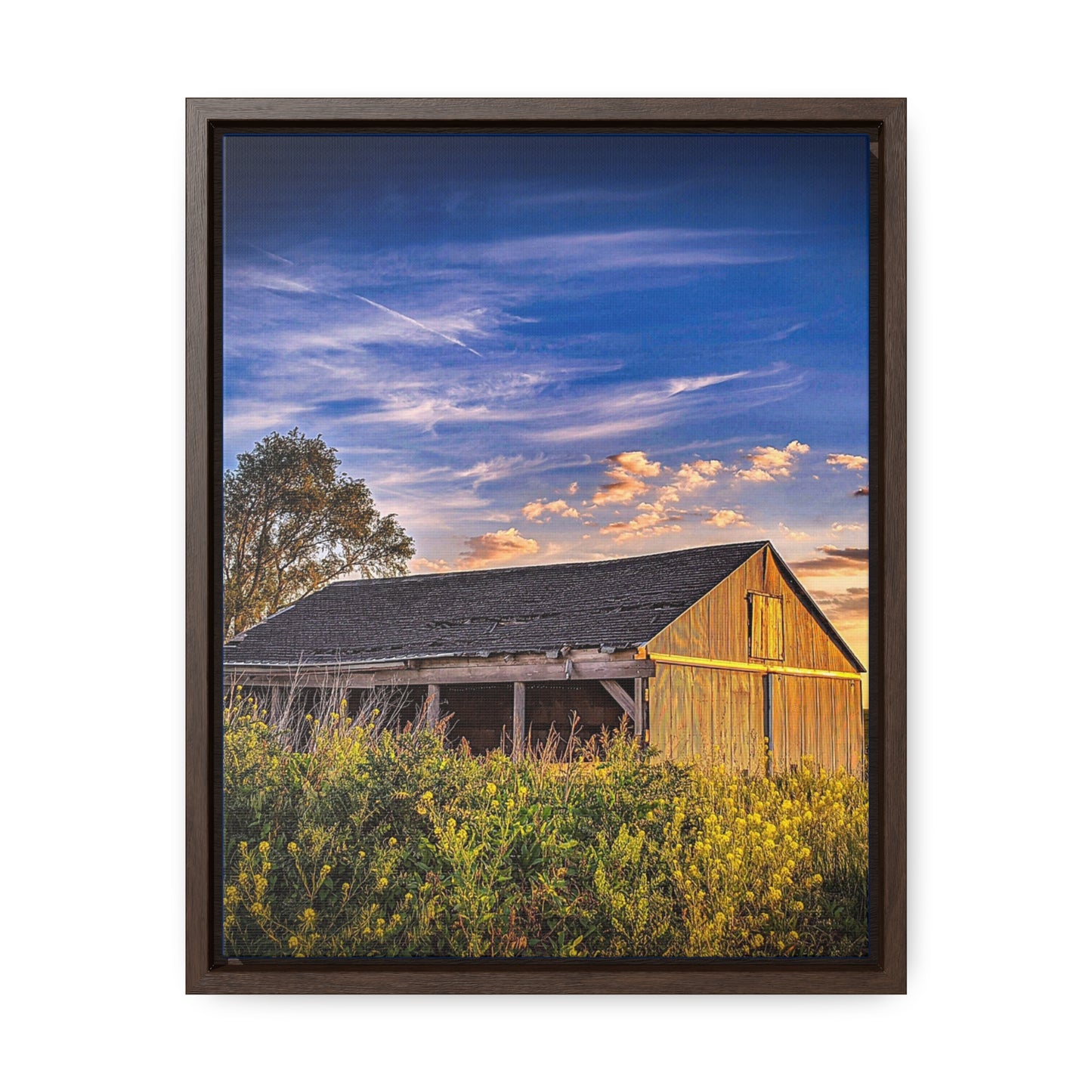 Grassy Barn Canvas Wraps, Vertical Frame (SP Photography Collection)