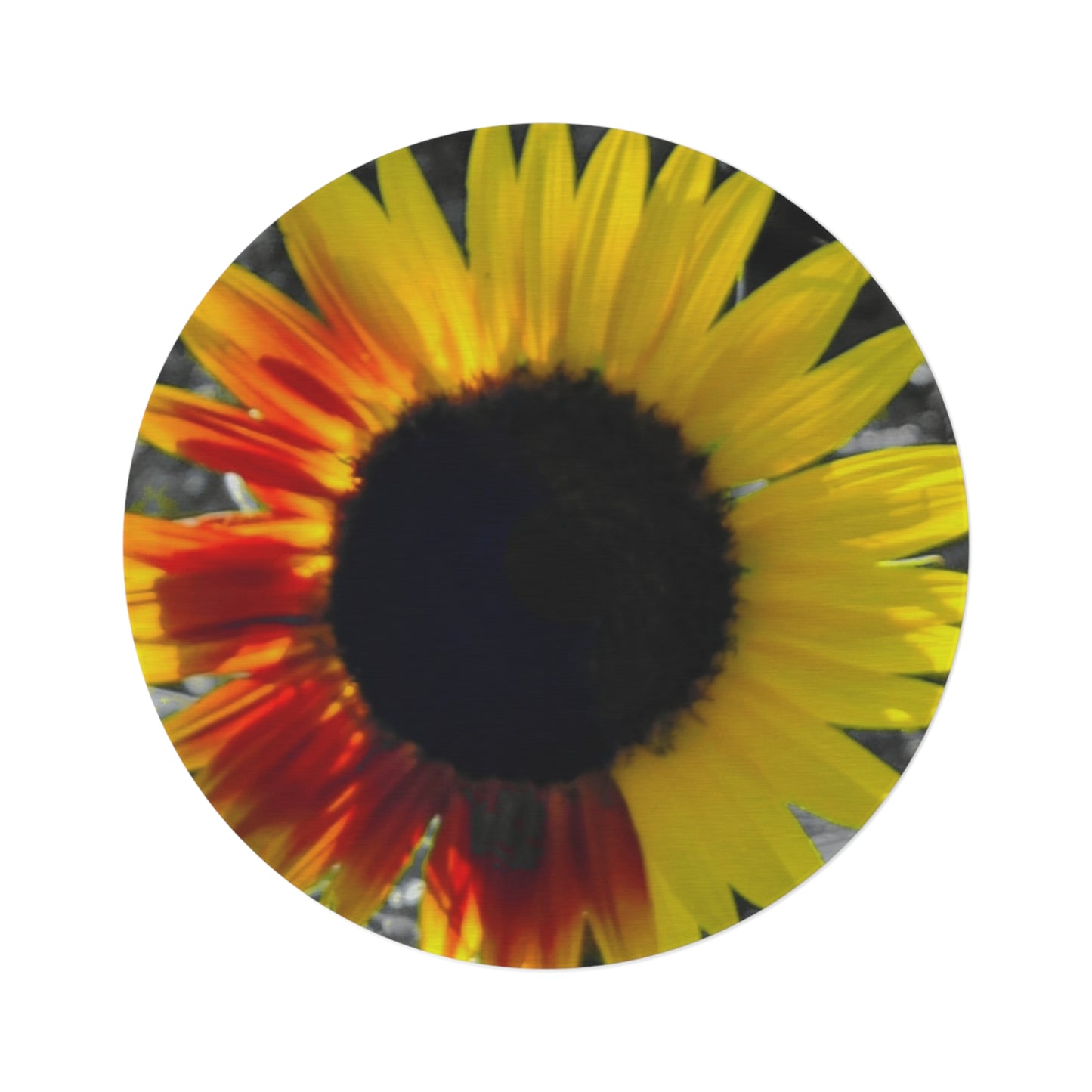 Mixed Sunflower Round Rug (Enchanted Exposures by Tammy Lyne)