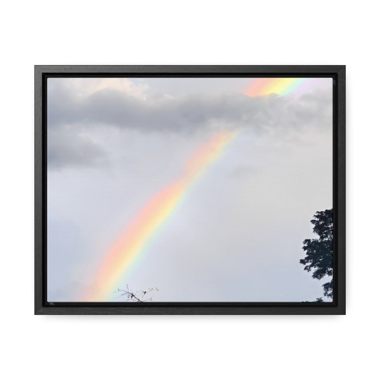 Rainbow Horizontal Frame (Enchanted Exposures by Tammy Lyne)