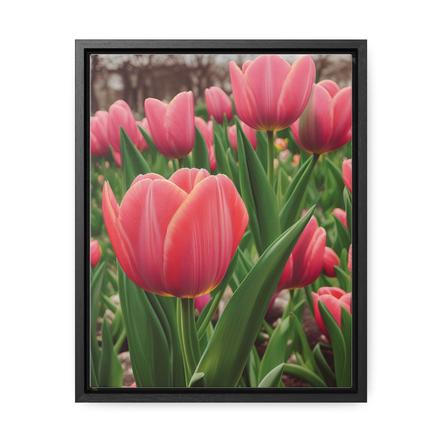 Pink Tulips Canvas Wraps, Vertical Frame (SP Photography Collection)