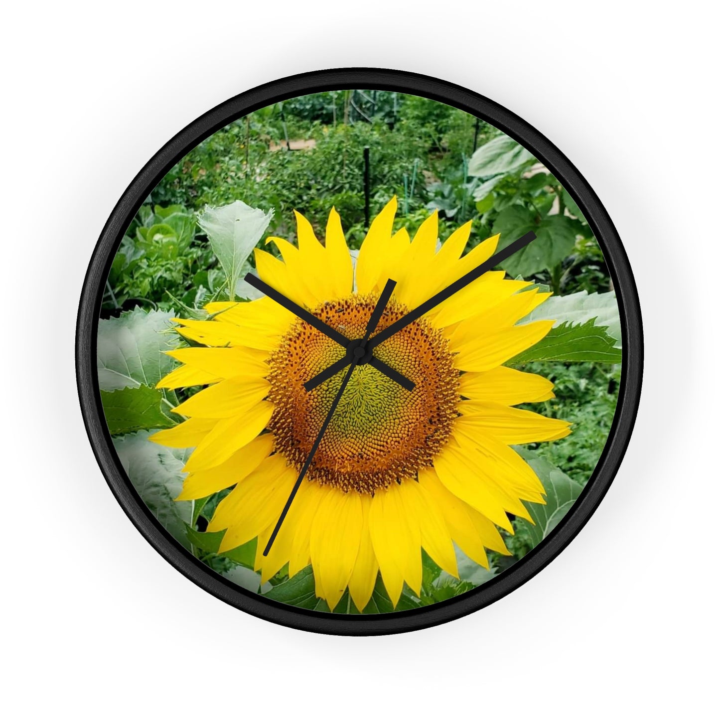 Yellow Sunflower Wall Clock (Enchanted Exposures By Tammy Lyne)