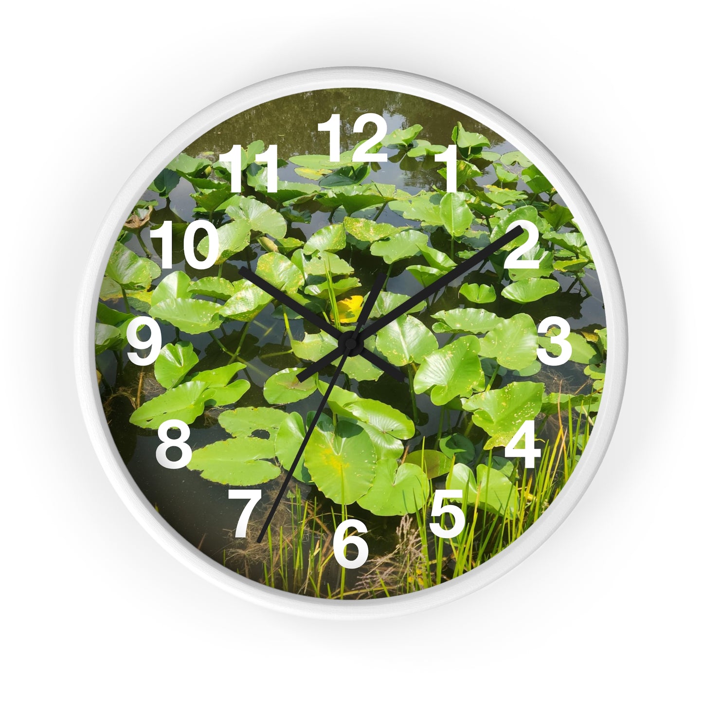 Lily Pad Wall Clock (B & J Collections)