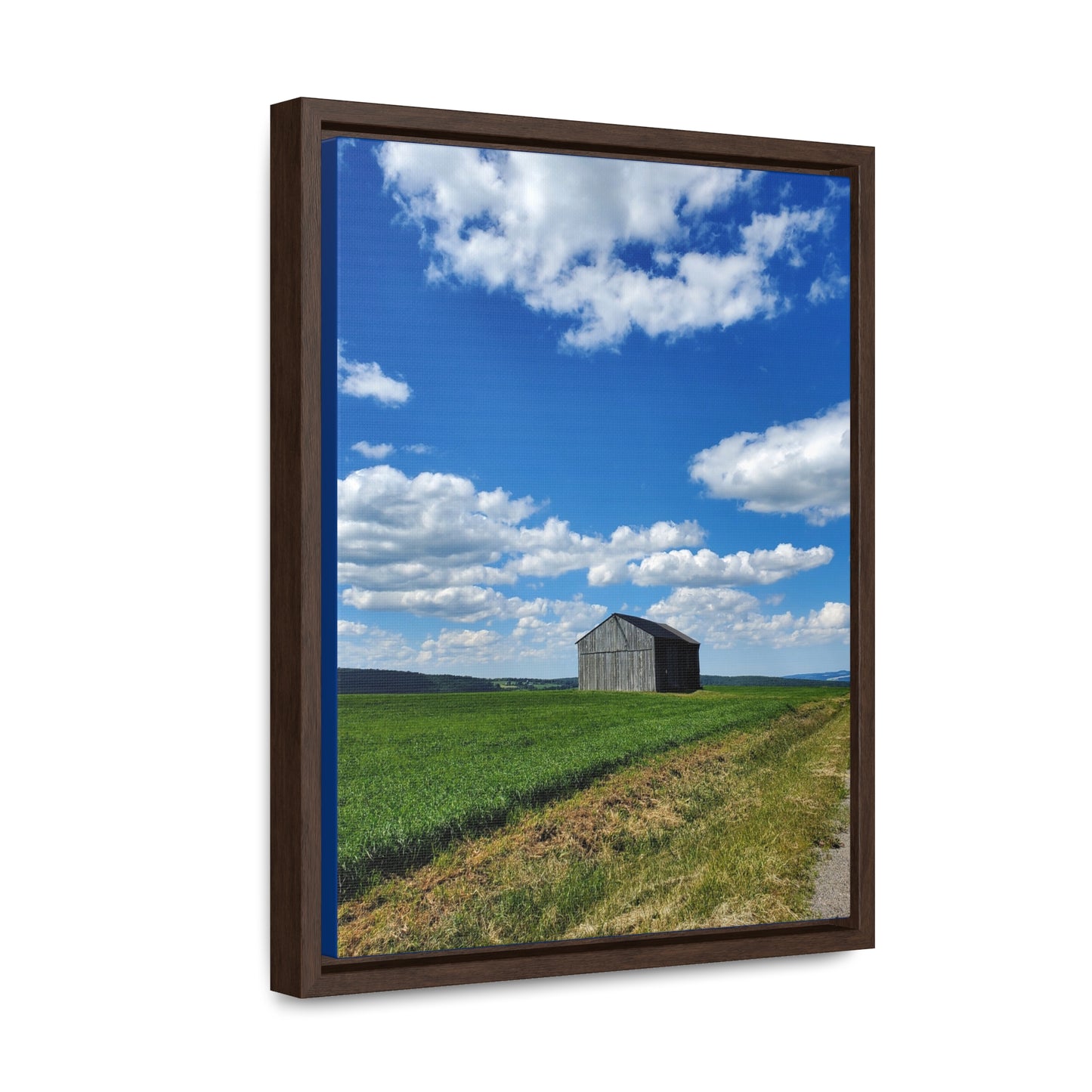 Lonely Barn Canvas Wraps, Vertical Frame (Enchanted Exposures By Tammy Lyne)