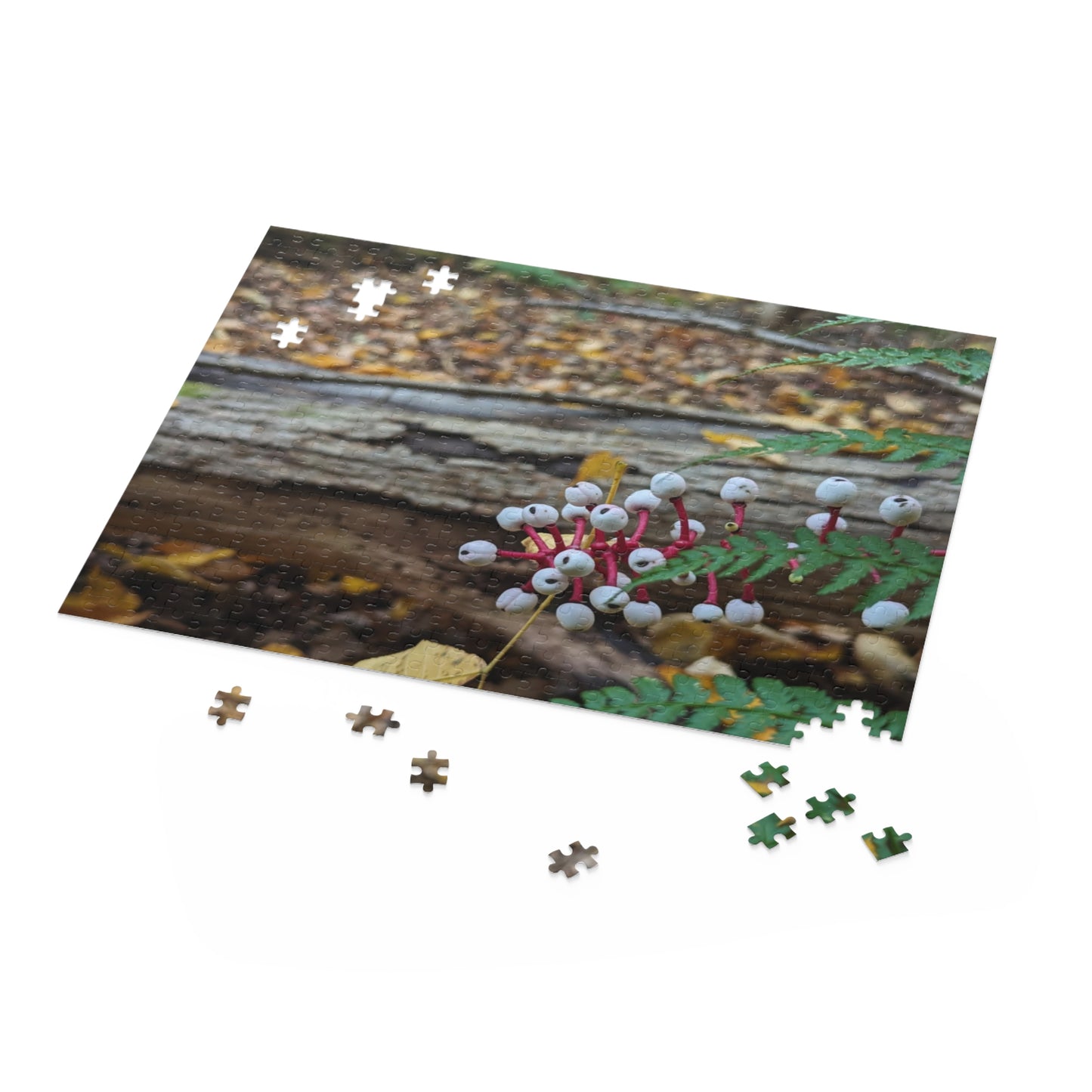 Baneberry Puzzle (Savor The Moment Collection 120, 252, 500-Piece)