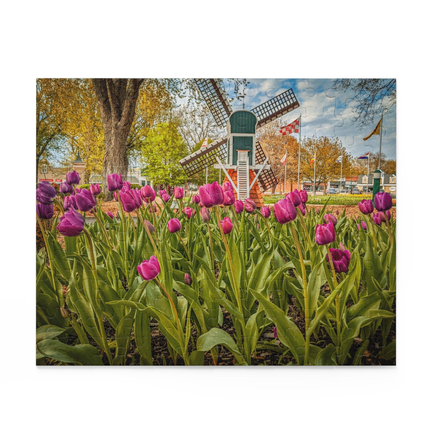 Windmill Tulip Puzzle (SP Photography Collection 120, 252, 500-Piece)