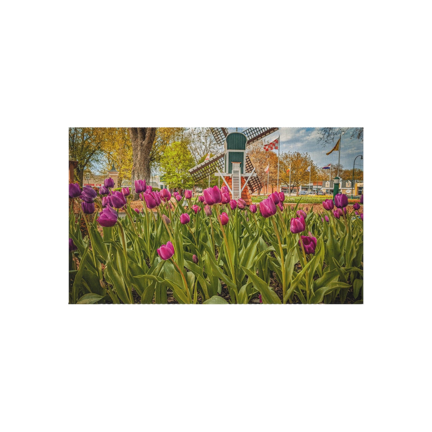 Windmill Tulips outdoor Rug (SP Photography Collection)