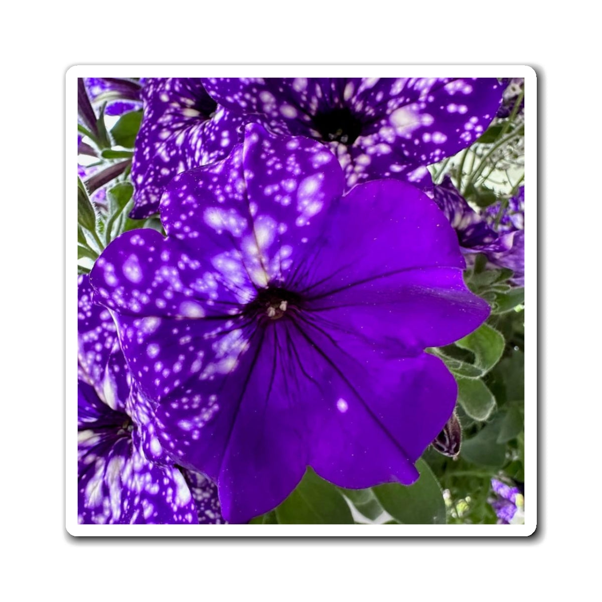 Purple Flower Magnet (Custom Creations By Catelyn)