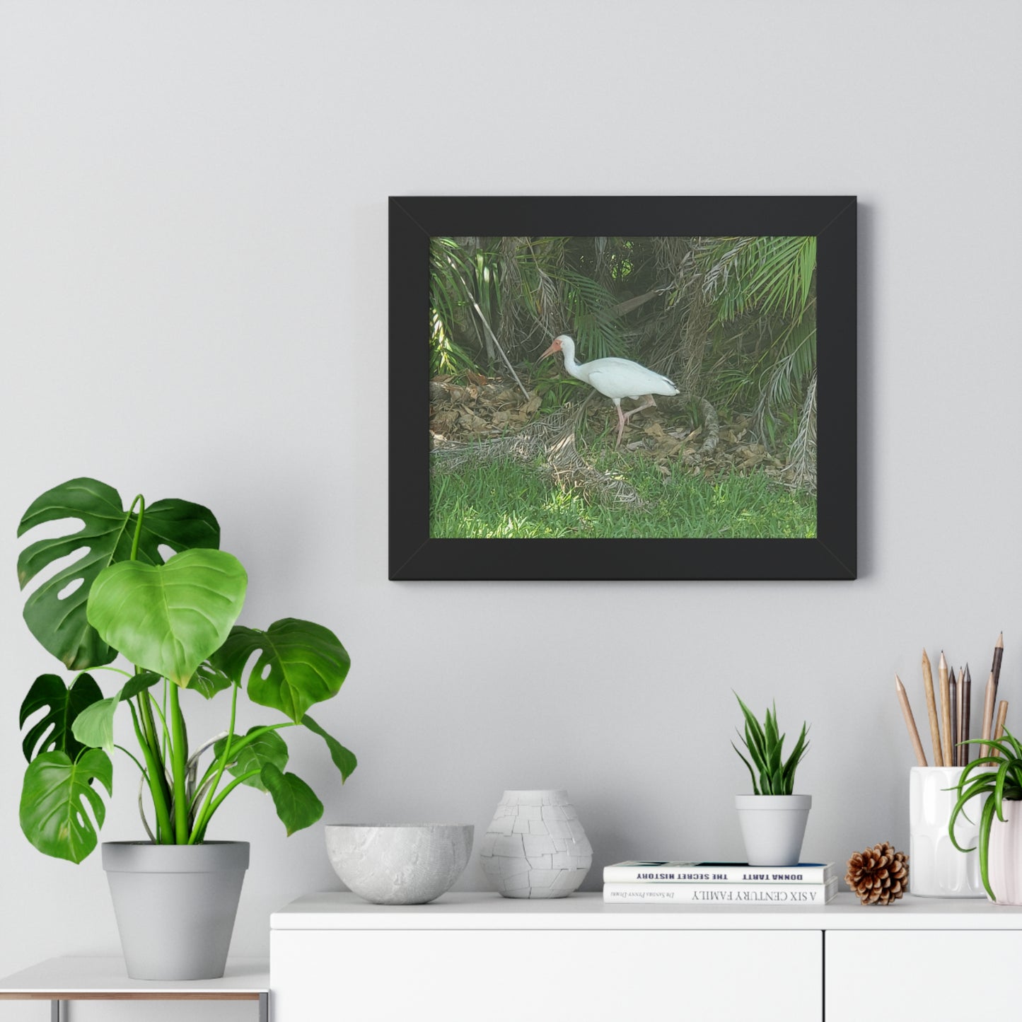 White Ibises Framed Horizontal Poster (B & J Collections)