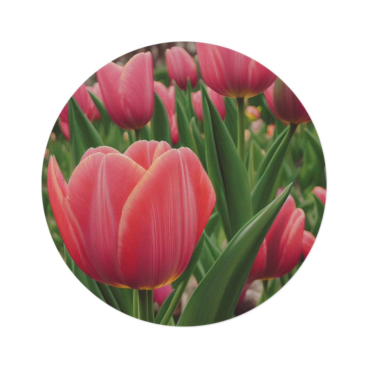 Pink Tulip Round Rug (SP Photography Collection)