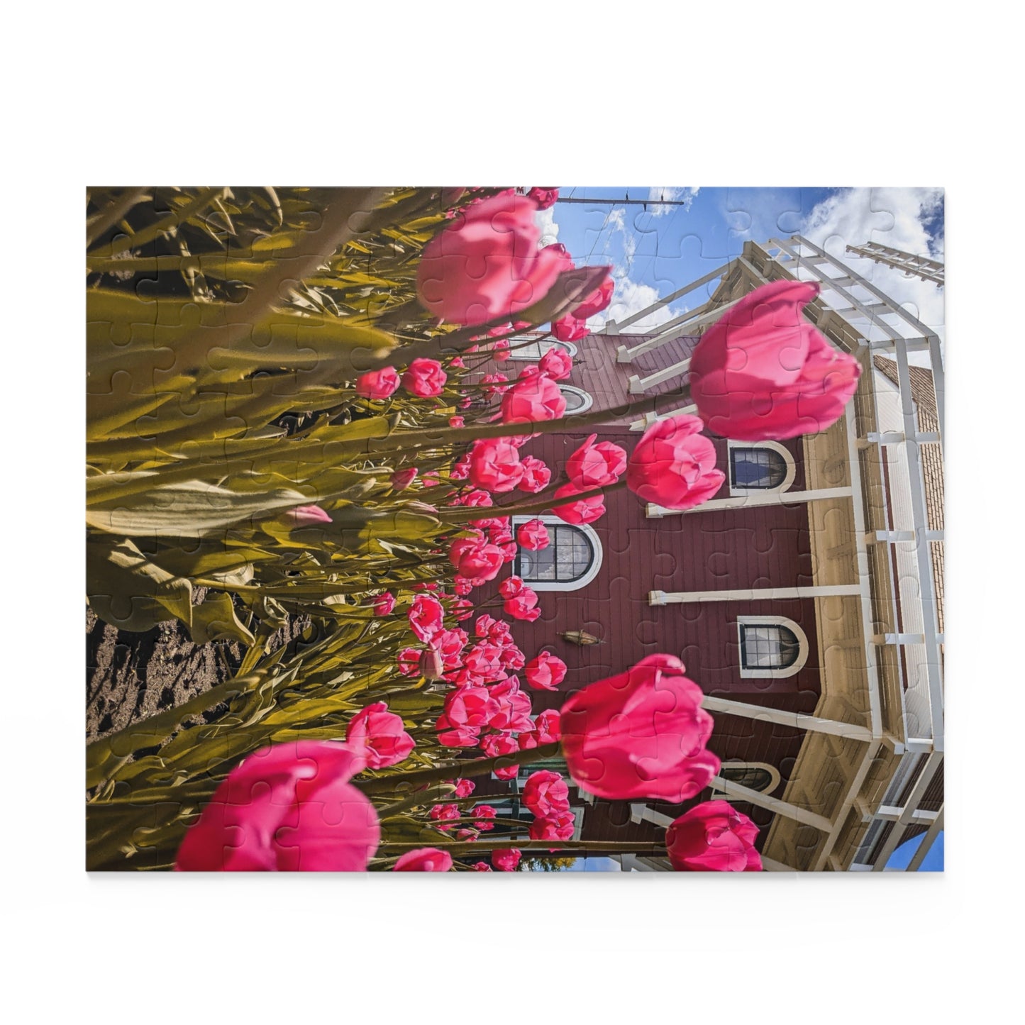 Windmill Pink Tulips Puzzle (SP Photography Collection) (120, 252, 500-Piece)