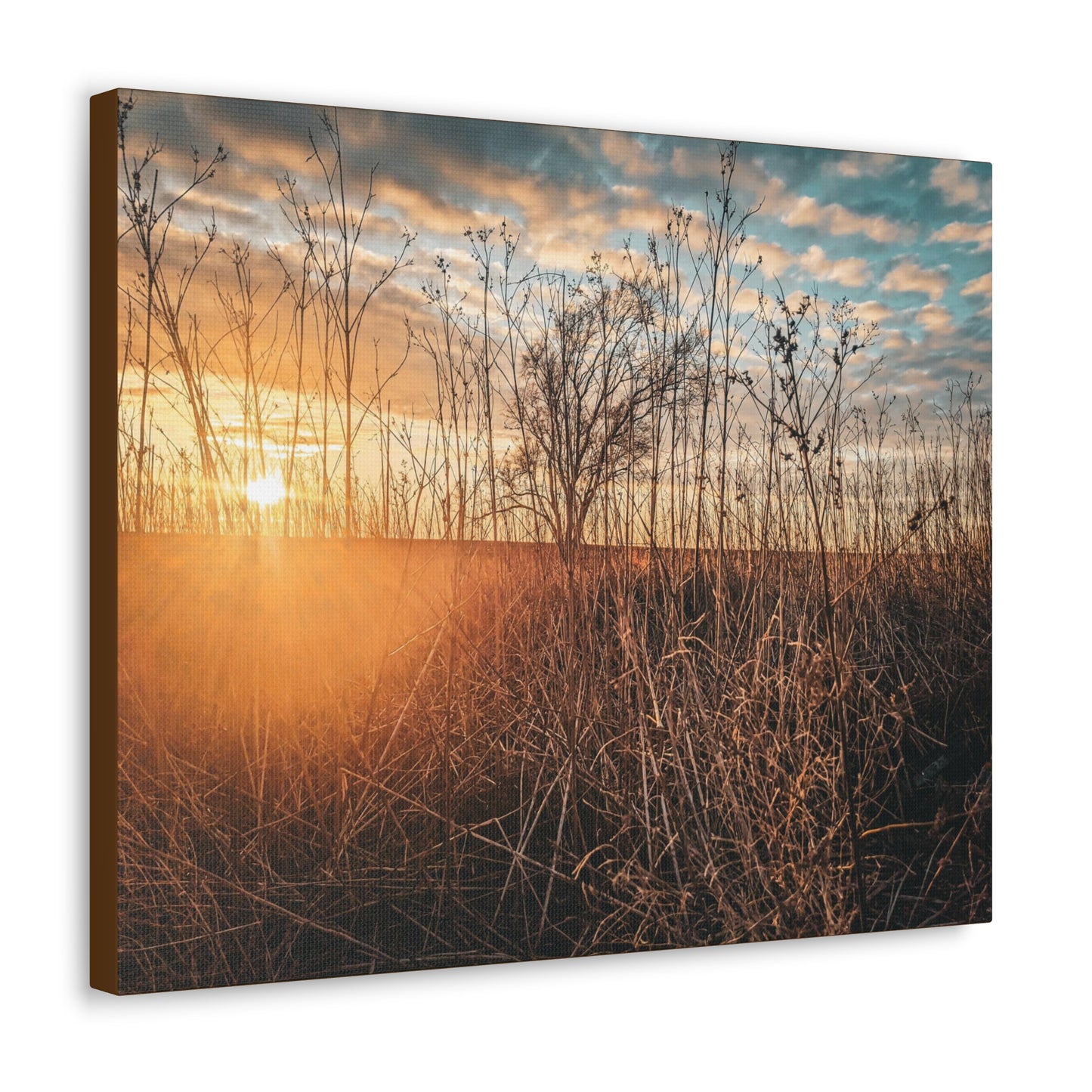 Cloudy Sunset Fields Wrap Canvas (SP Photography Collection)