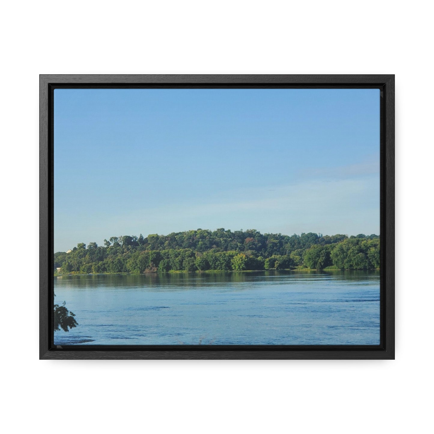 River Trees Canvas, Horizontal Frame (B & J Collections)