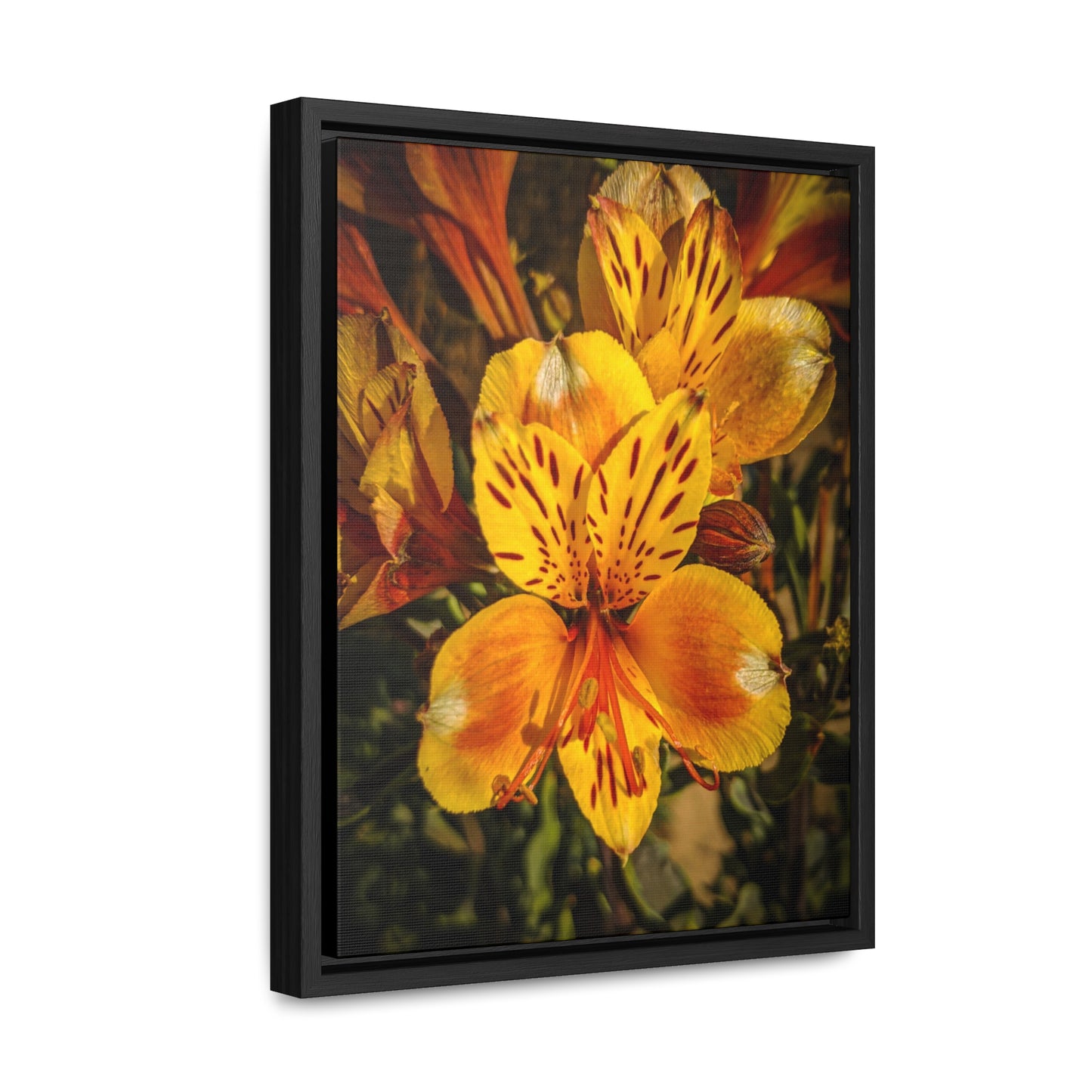 Yellow Lily Canvas Wraps, Vertical Frame (SP Photography Collection)