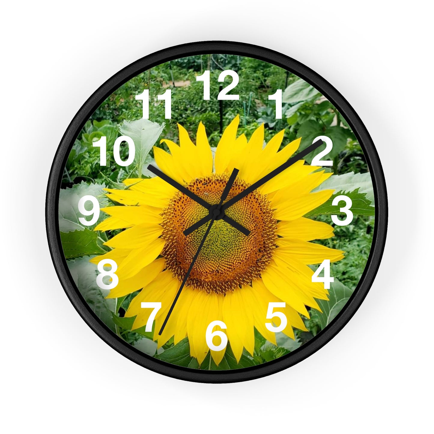 Yellow Sunflower Wall Clock (Enchanted Exposures By Tammy Lyne)