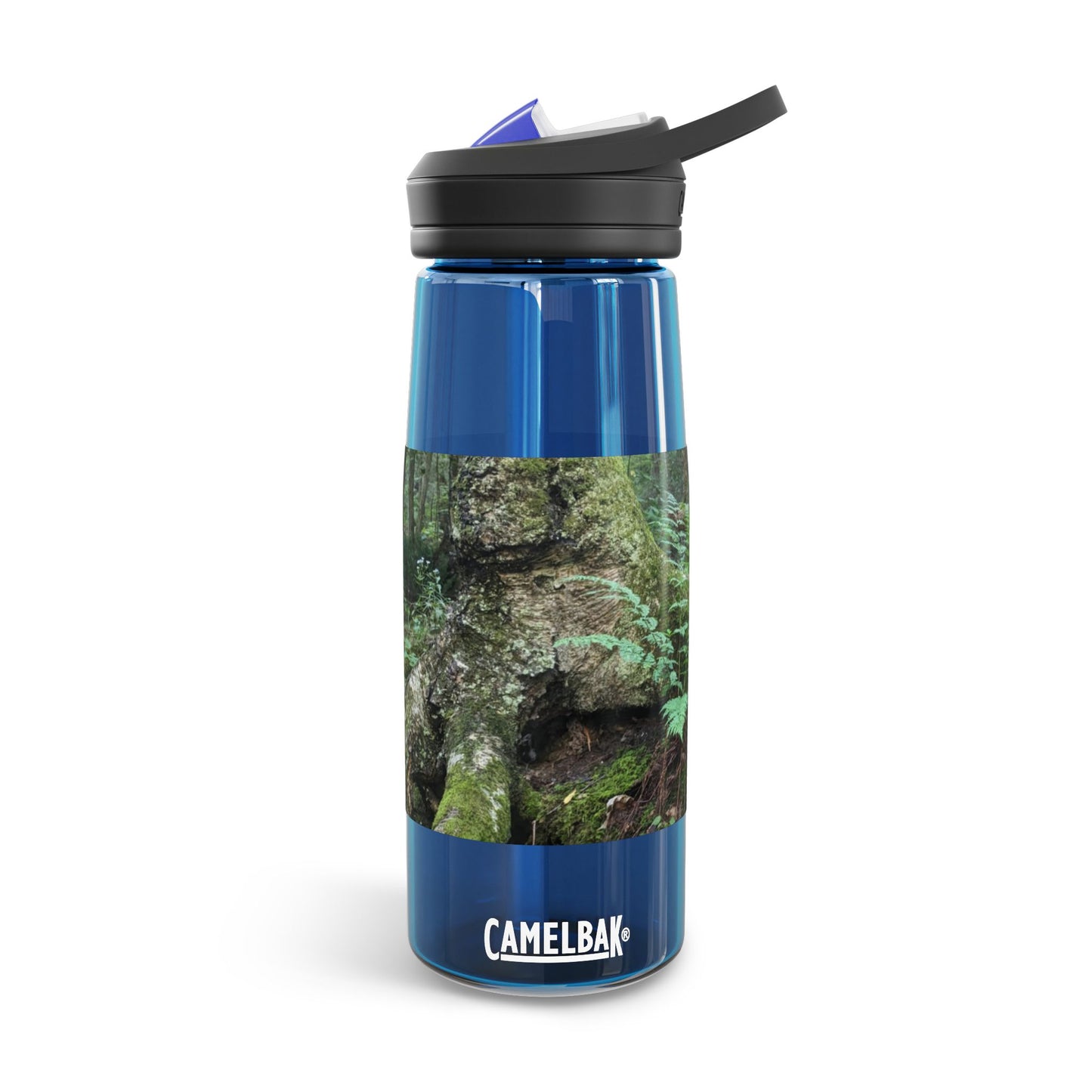 Forest Fern CamelBak Eddy®  Water Bottle, 25oz (Savor The Moment Collection)