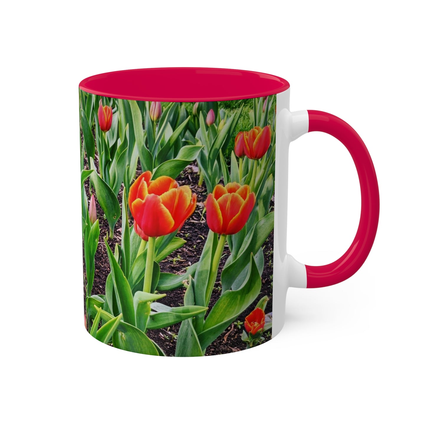 Red Tulips Mug, 11oz (SP Photography Collection) RED