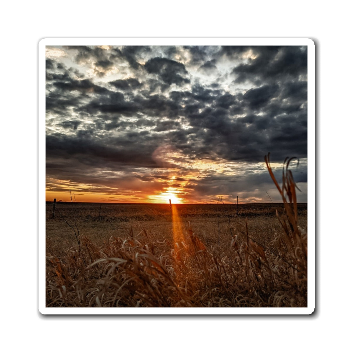 Cloudy Skies Magnet (SP Photography Collection)