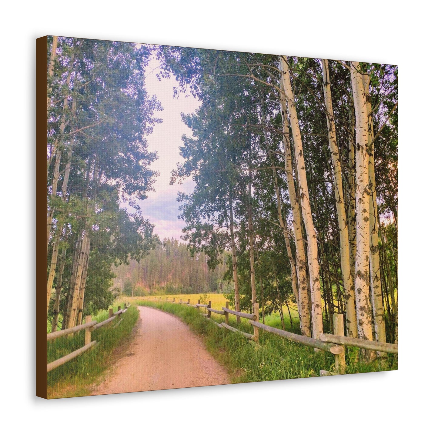 Country Road Wrap Canvas (SP Photography Collection)