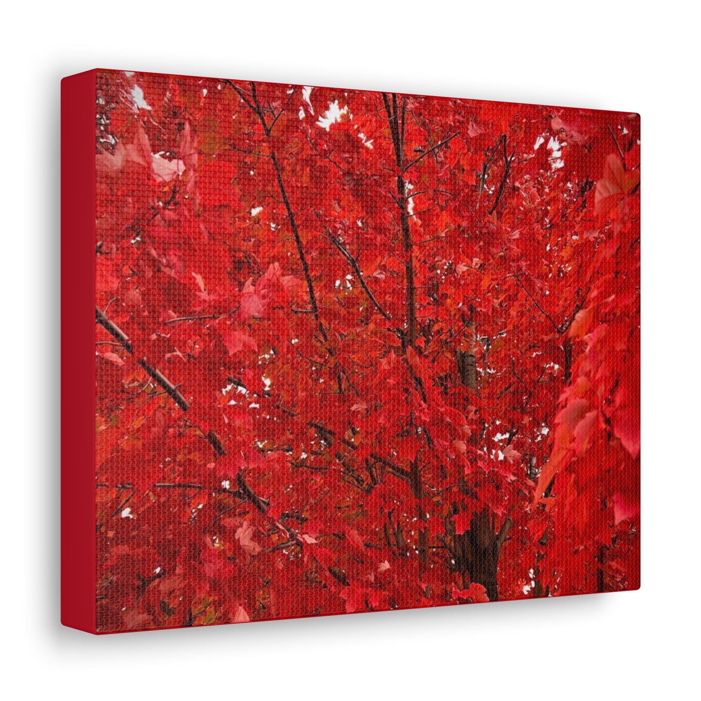 Fire Tree Canvas Gallery Wrap (Custom Creations By Catelyn)