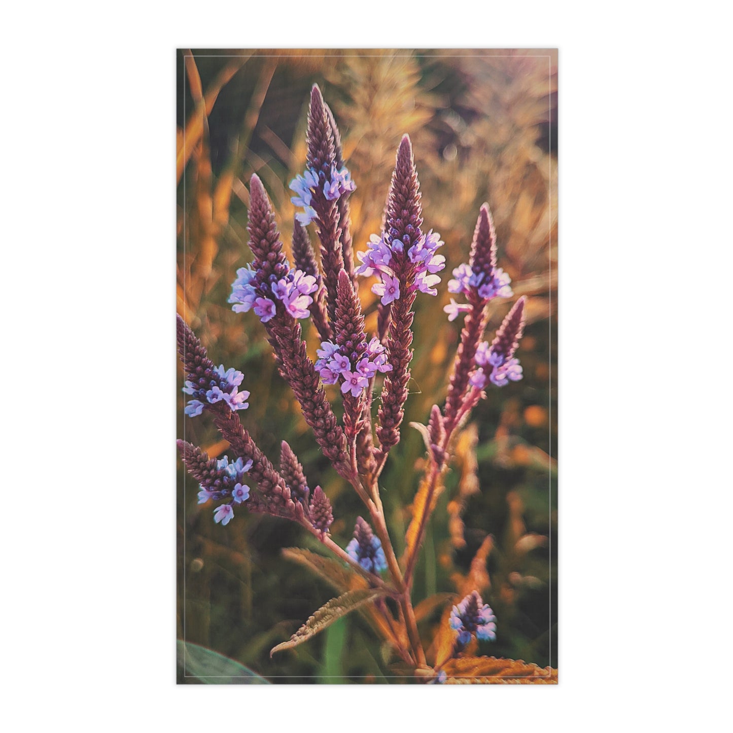 Purple Field Kitchen Towel (SP Photography Collection)