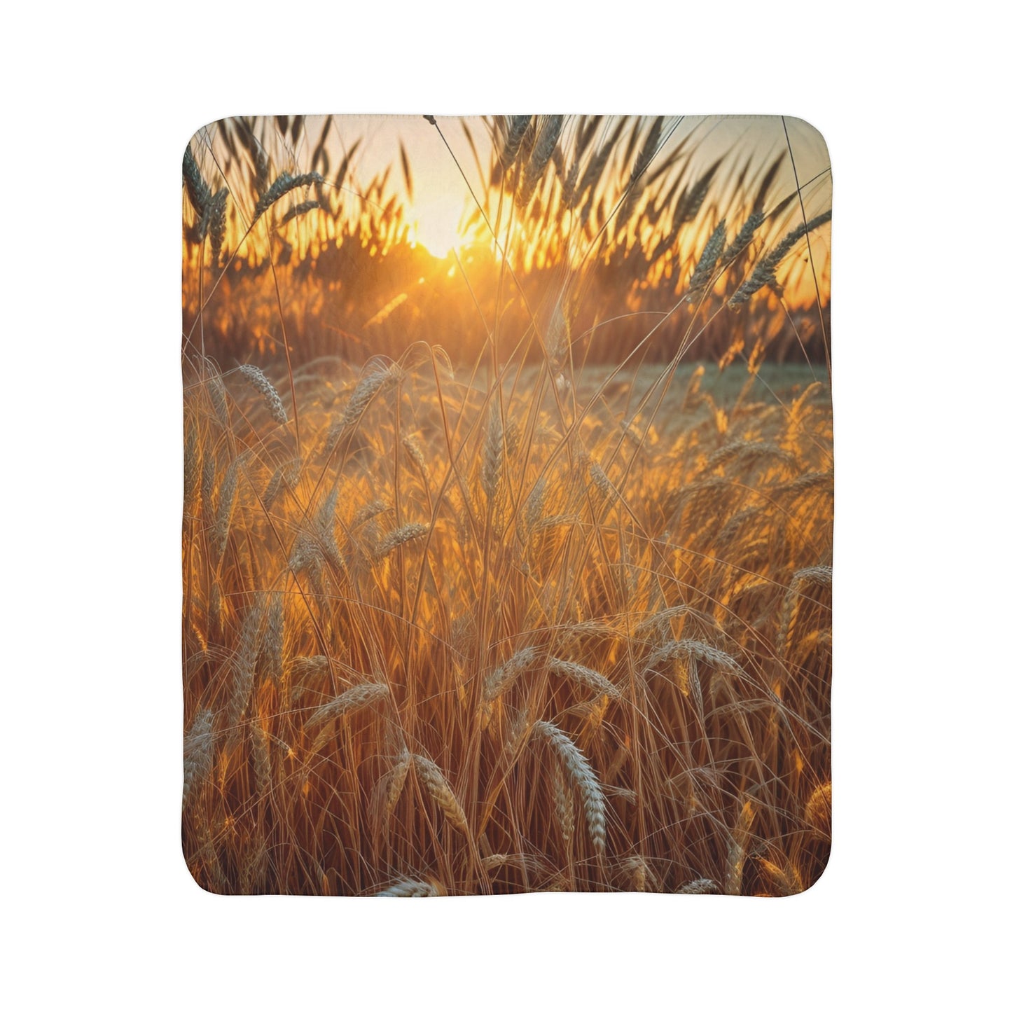 Golden Wheat Fleece Sherpa Blanket (SP Photography Collection)