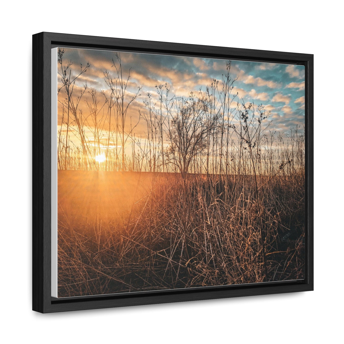 Cloudy Sunset Fields Canvas, Horizontal Frame (SP Photography Collection)