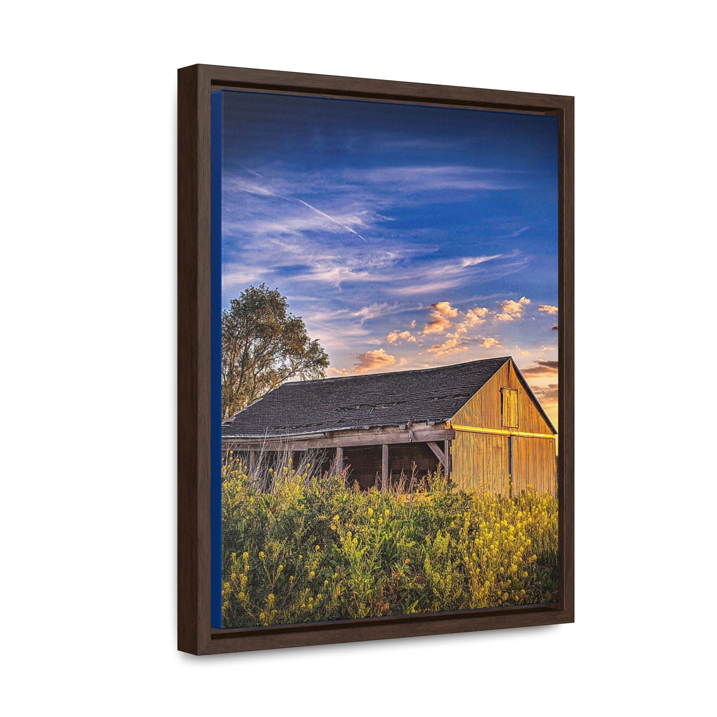 Grassy Barn Canvas Wraps, Vertical Frame (SP Photography Collection)