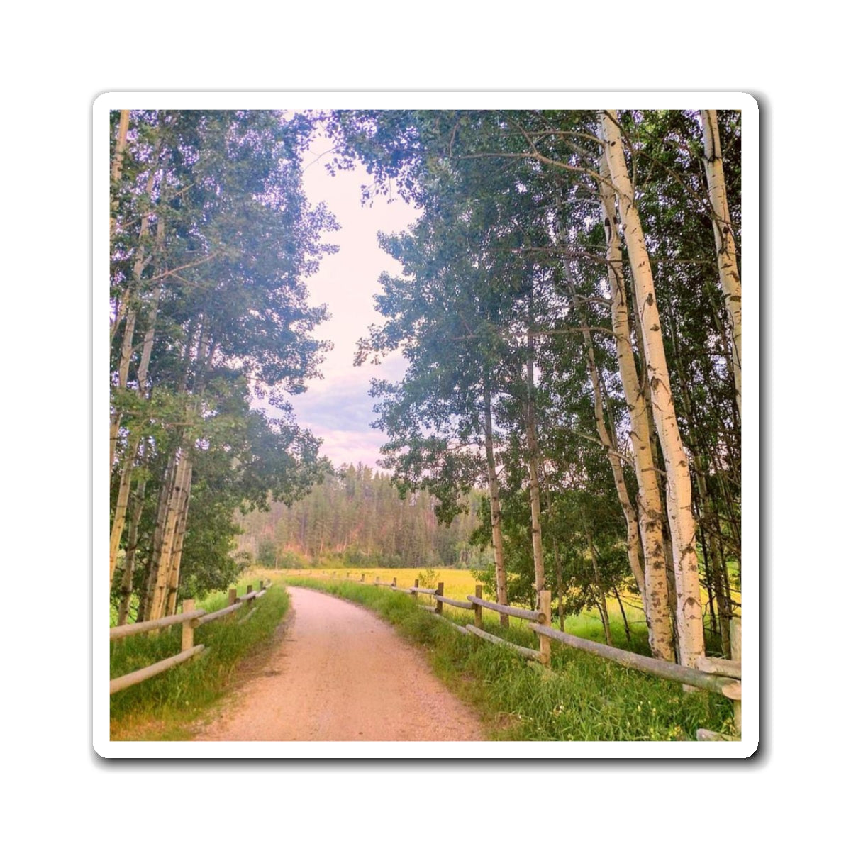 Country Road Magnet (SP Photography Collection)