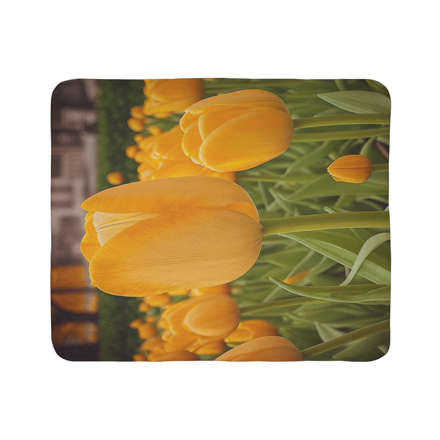 Yellow Tulip Fleece Sherpa Blanket (SP Photography Collection)