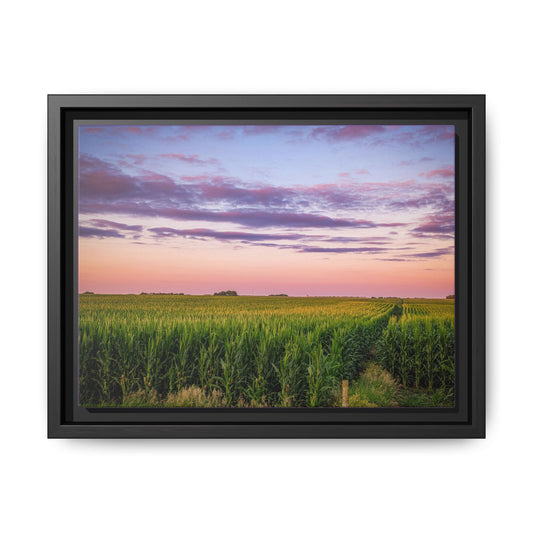 Corn Field Sunset Matte Canvas, Framed (Multi-color) (SP Photography Collection)