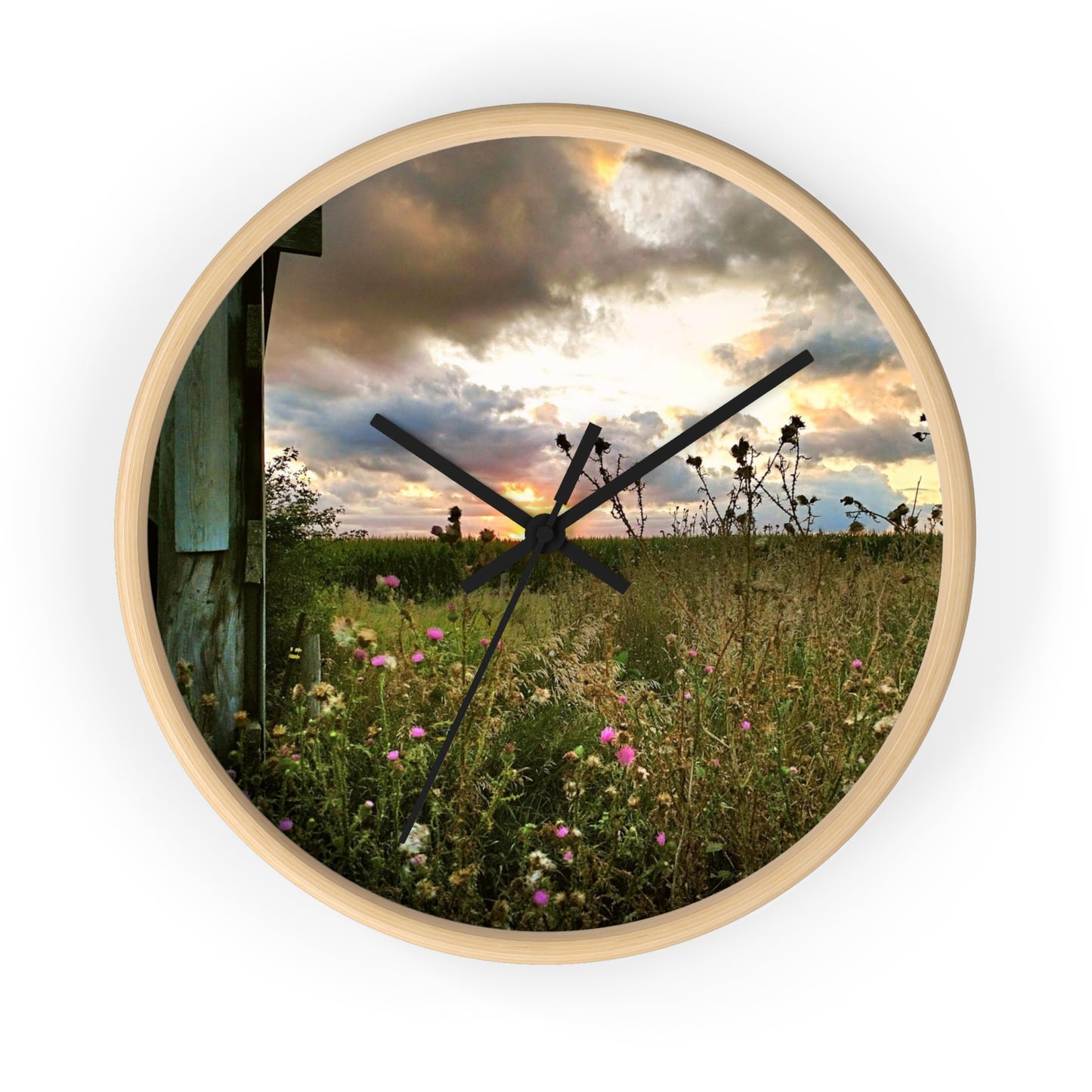 Cloudy Field Wall Clock (SP Photography Collection)