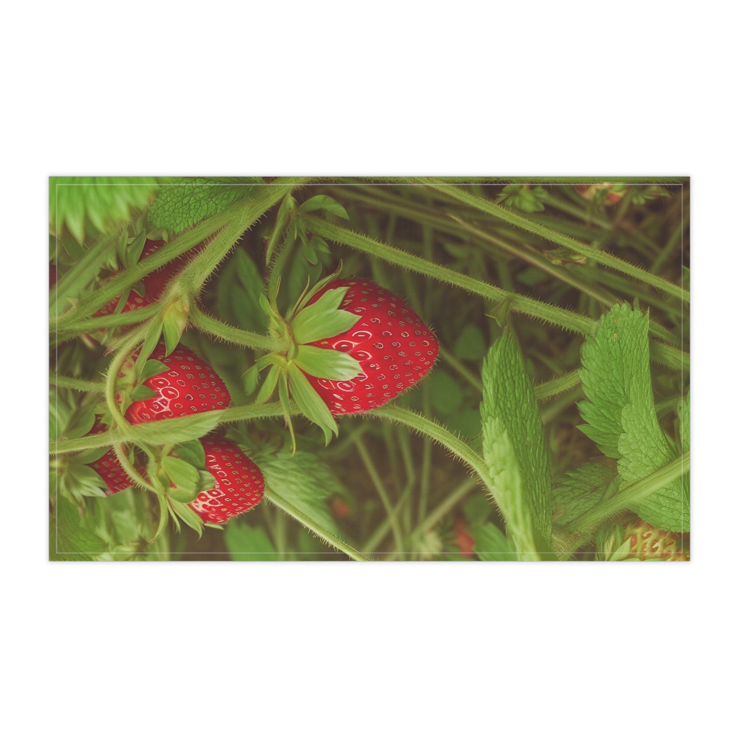 Strawberry Kitchen Towel (SP Photography Collection)