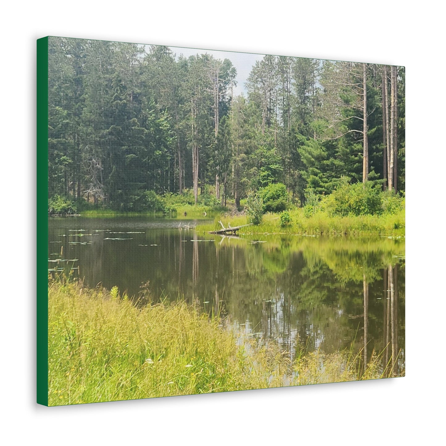 Still Pond Gallery  Canvas Wrap (B & J Collections)