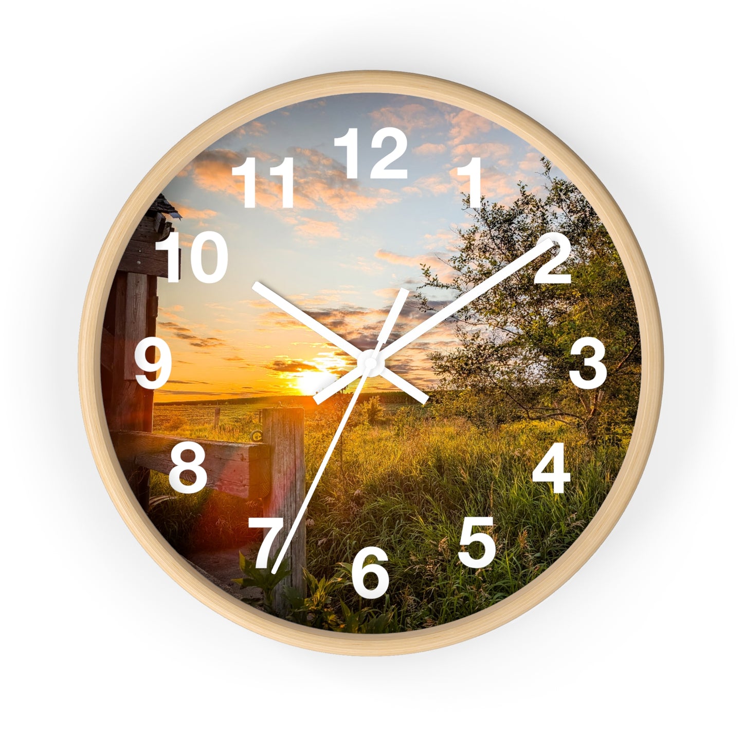 Fence Clock (SP Photography Collection)