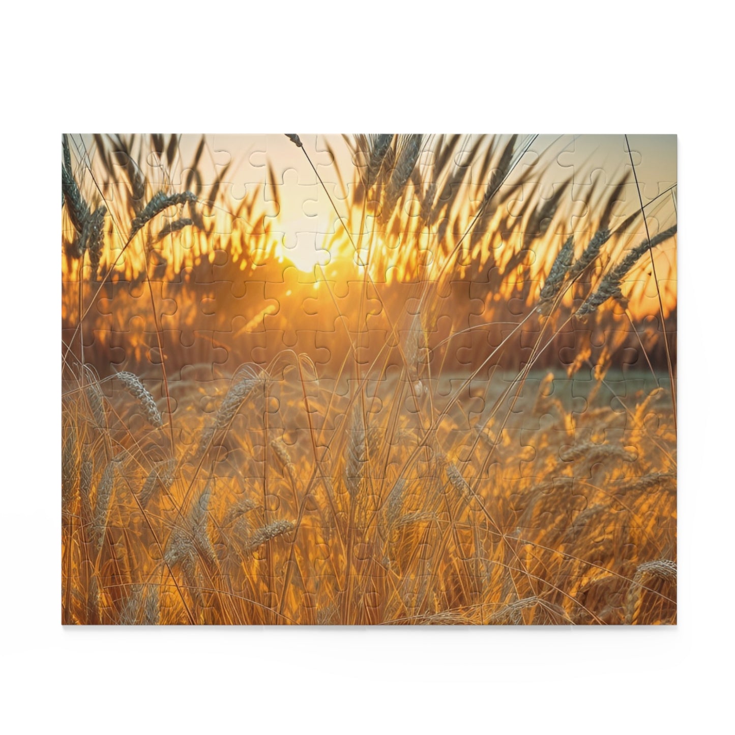 Golden Wheat Puzzle (SP Photography Collection 120, 252, 500-Piece)