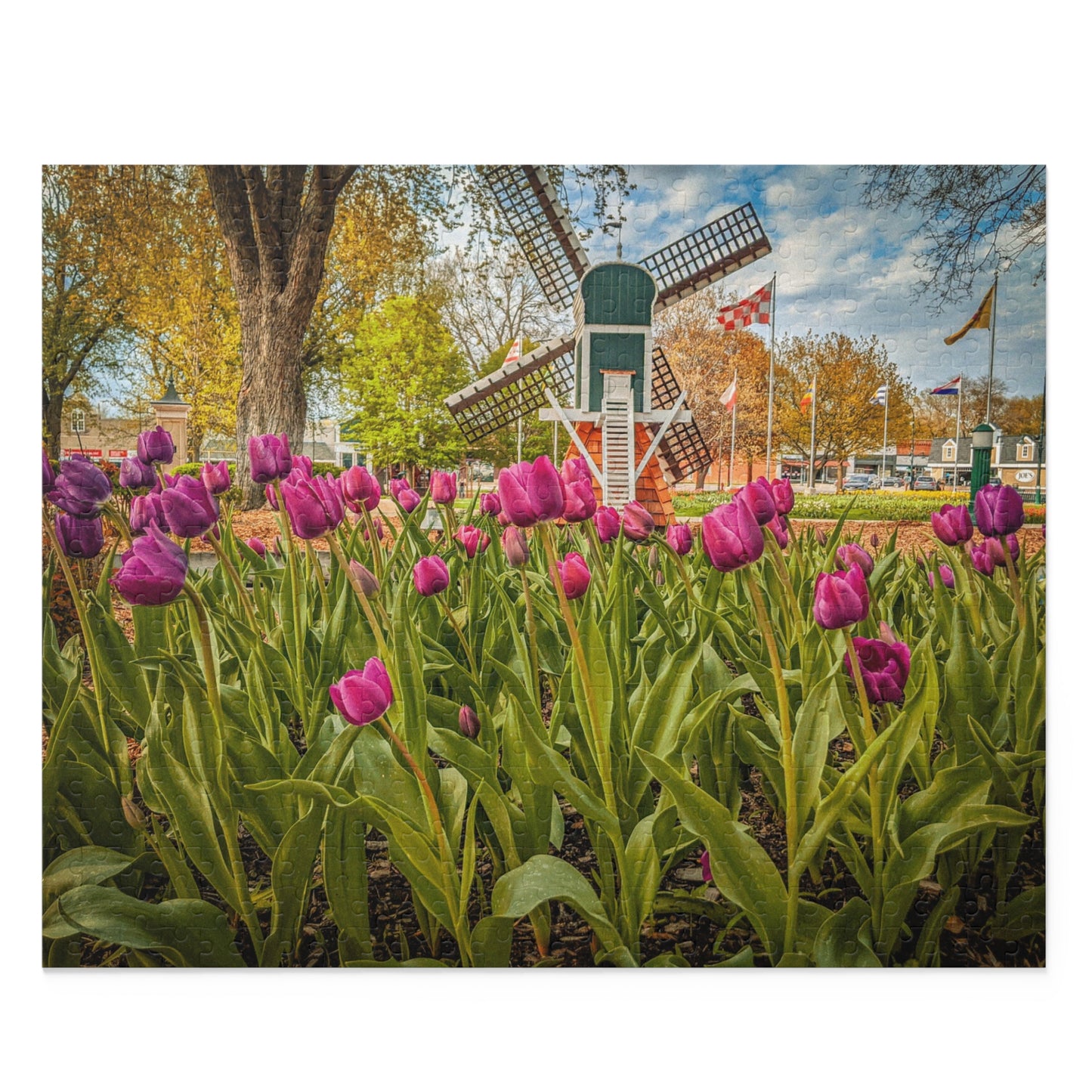 Windmill Tulip Puzzle (SP Photography Collection 120, 252, 500-Piece)